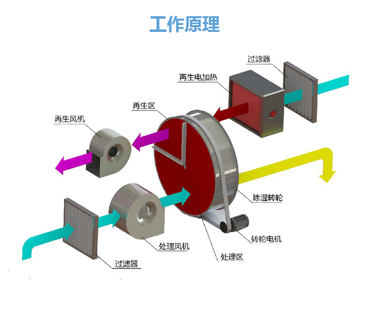 1586912621895213.jpg 轉輪_03.jpg